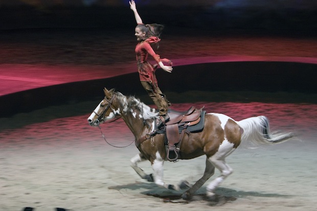 cavalia