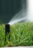 Water restrictions