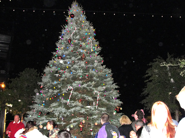 Wouter kusters dissertation image