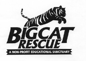 BigCatRescue
