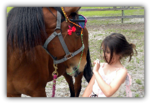 R&RRanch