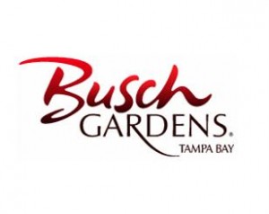 busch-gardens-tampa-bay
