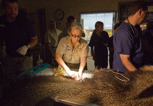 Britta ufer dissertation 06 image