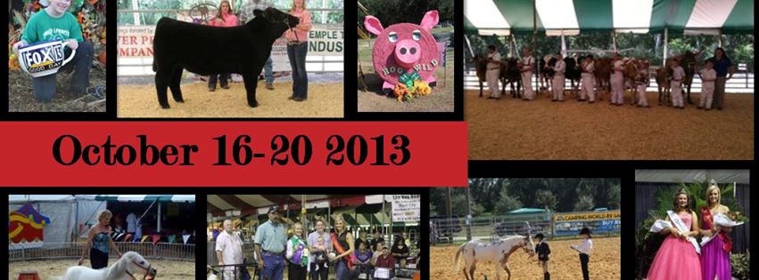 What is a dissertation picture