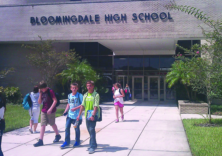 Dissertation jillian skelton image