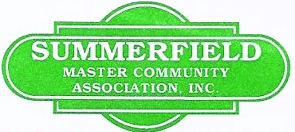 Phd dissertation image