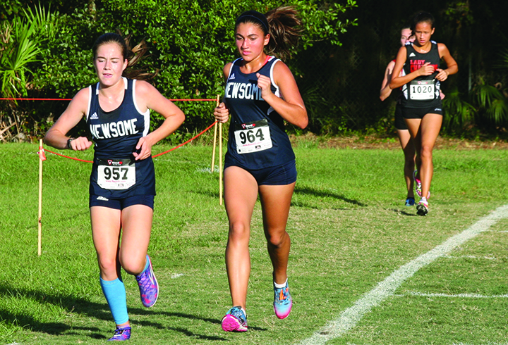 Dissertation meaning image