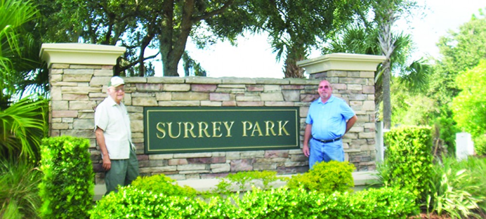 Dissertation meaning picture