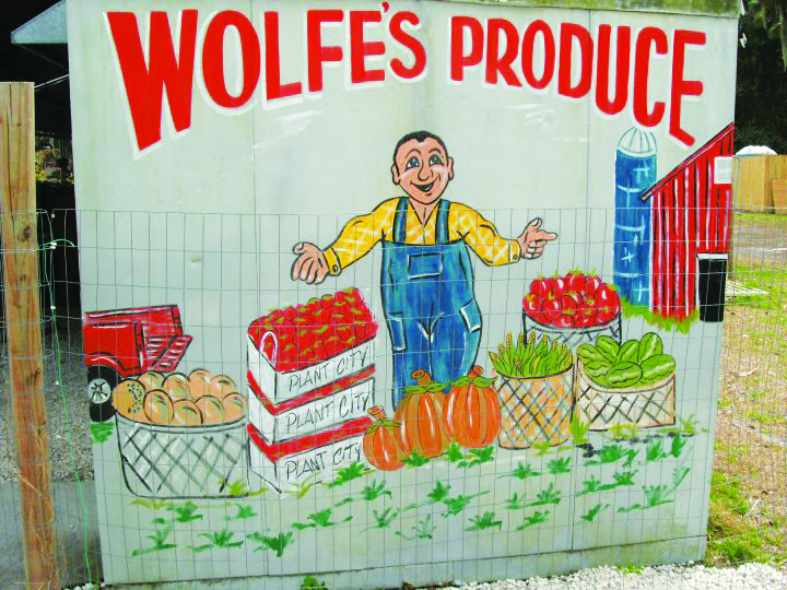 PRODUCE_Wolfe Osprey Observer