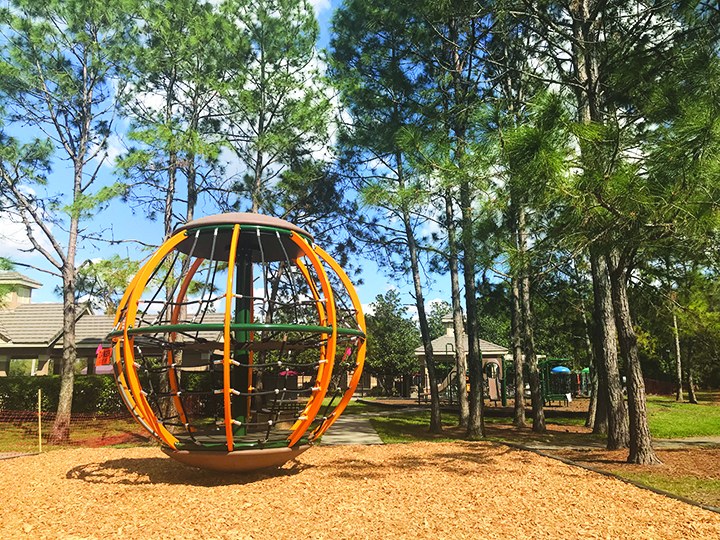 osprey park Osprey Observer