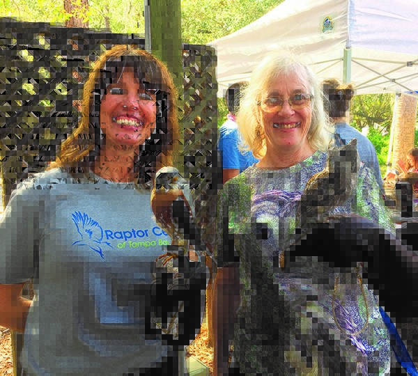 Wonders Of Wildlife Festival Aims To Help Birds Of Prey Osprey Observer