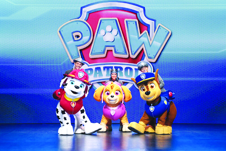 paw patrol show