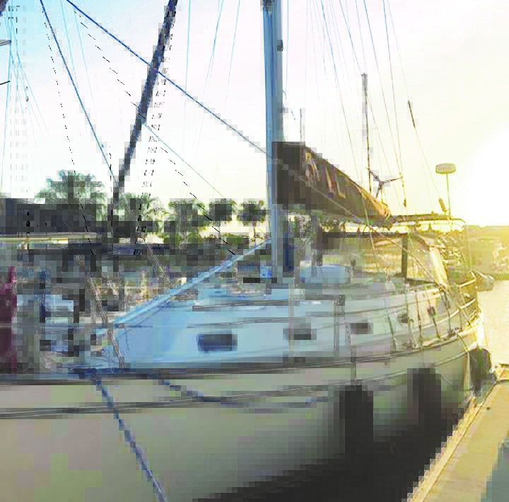 Flagship Sailing Offers Both Experienced And BeginnerLevel Sailing Courses Osprey Observer