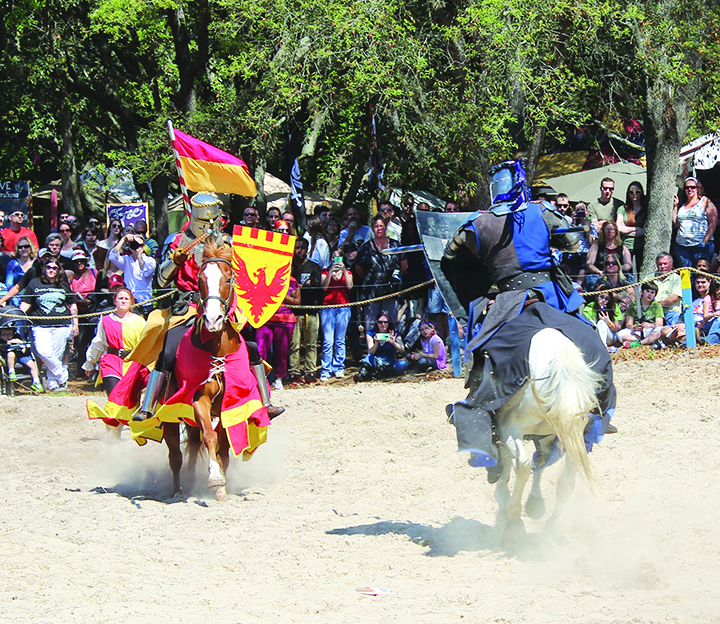 Bay Area Renaissance Festival, A Tampa Tradition For FortyOne Years
