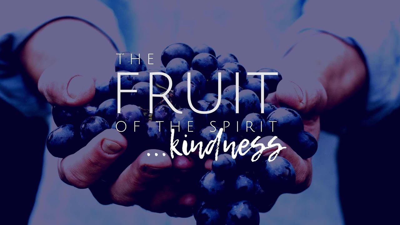 The Fruit Of The Holy Spirit: What Is Kindness? | Osprey Observer