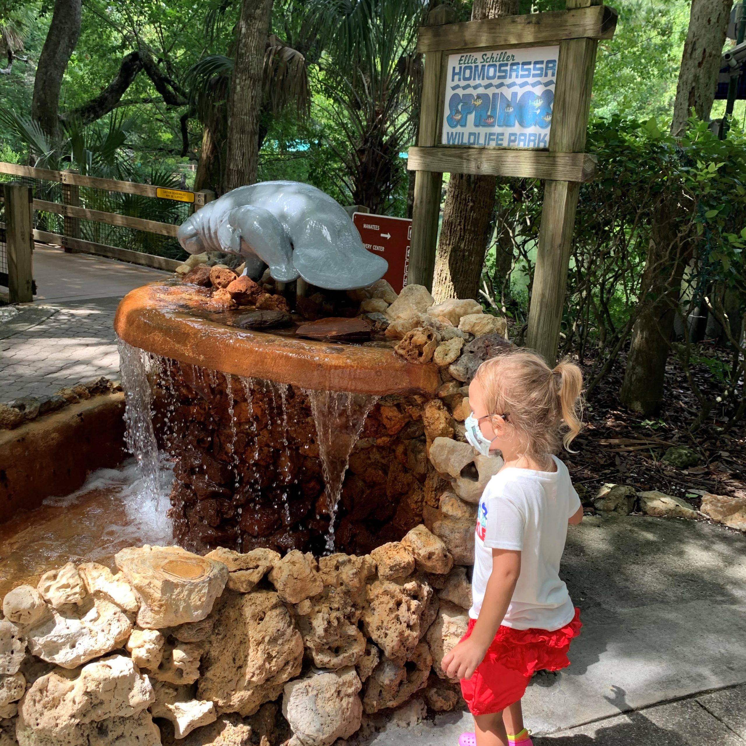 One Day Trip Homosassa Springs State Park Offers Activities For Everyone Osprey Observer