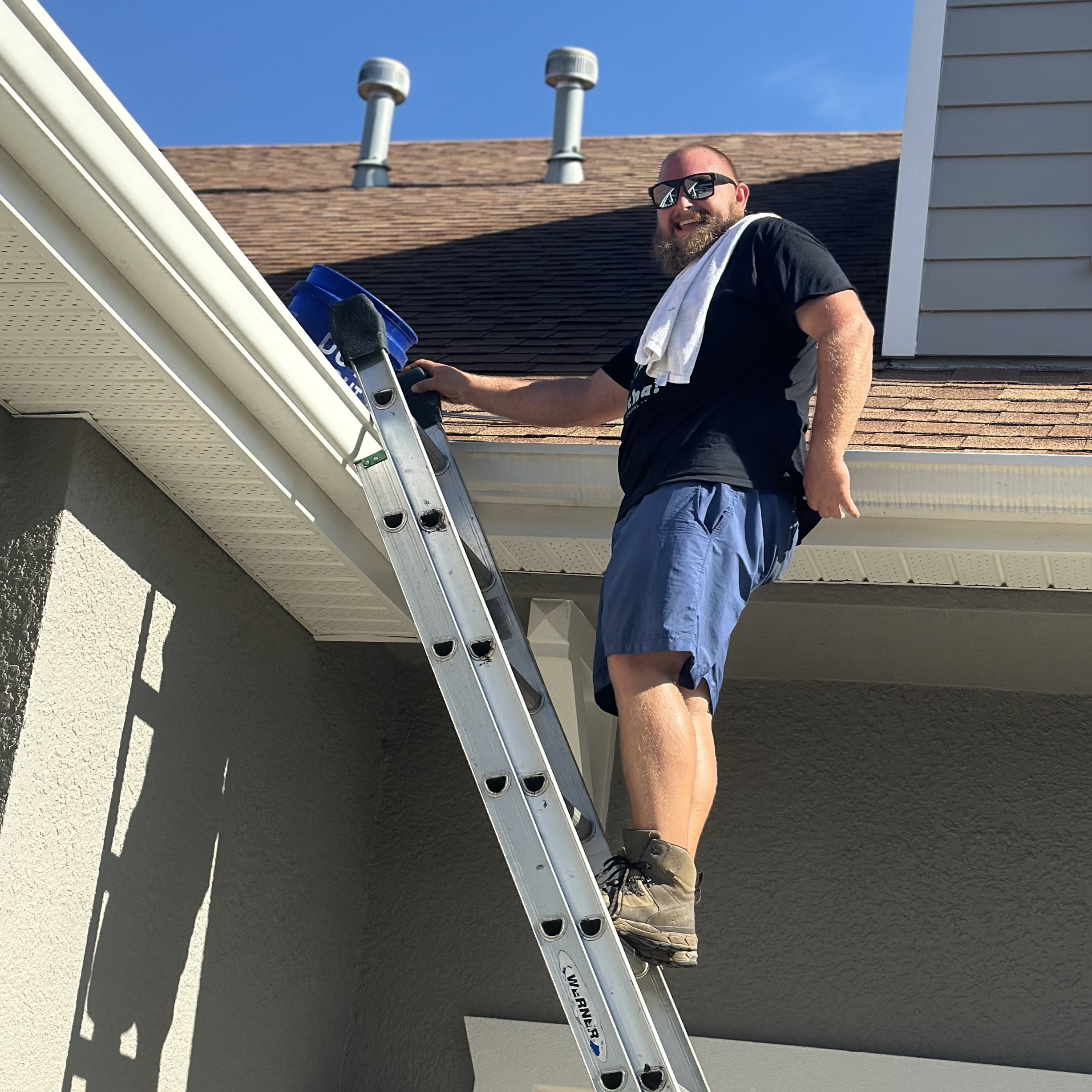 Protected Season For Bats In The Attic Ends Just In Time Osprey Observer