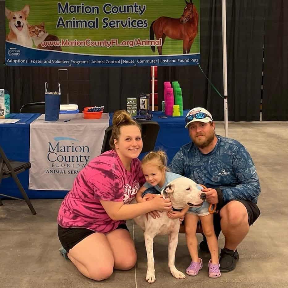 Hundreds Of Dogs, One Big Weekend: Tampa Bay’s Mega Dog Adoption Event ...