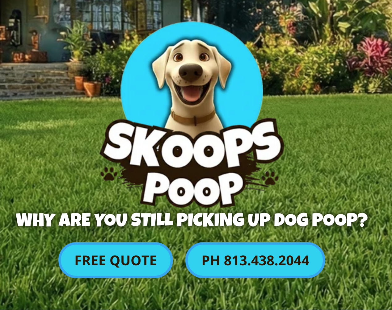 Eye On Business — Valrico, February 2026