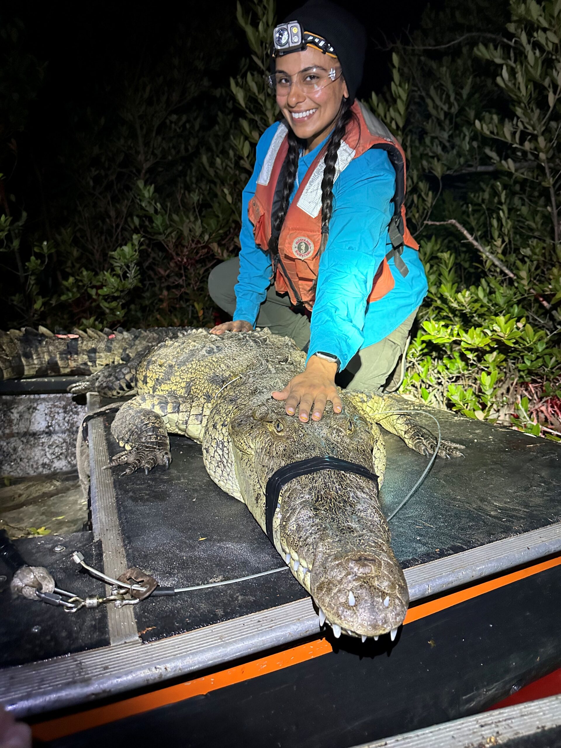 UF Croc Docs: Women Leading Conservation In The Everglades
