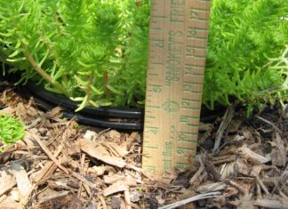 Get The Dirt: Winter Landscape Maintenance