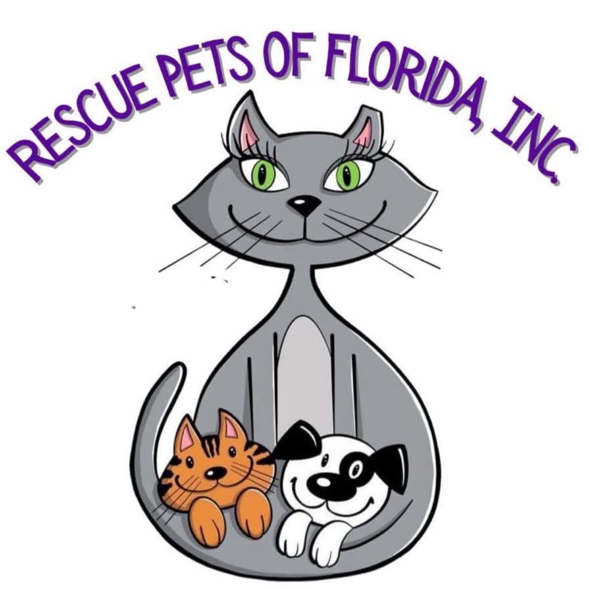 Rescue Pets Issues Urgent Plea For Fosters As Shelters Reach Capacity